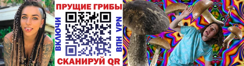 OMG рабочий сайт  Кукмор  Псилоцибиновые грибы GOLDEN TEACHER 